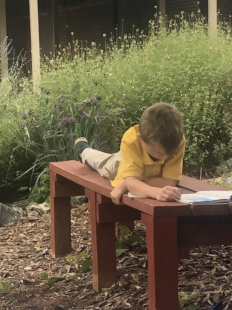 MrsEMcKnight's tweet photo. Outside enjoying the weather and a good book! 📖 @SpeasGlobal https://t.co/tGGWiD4h0H