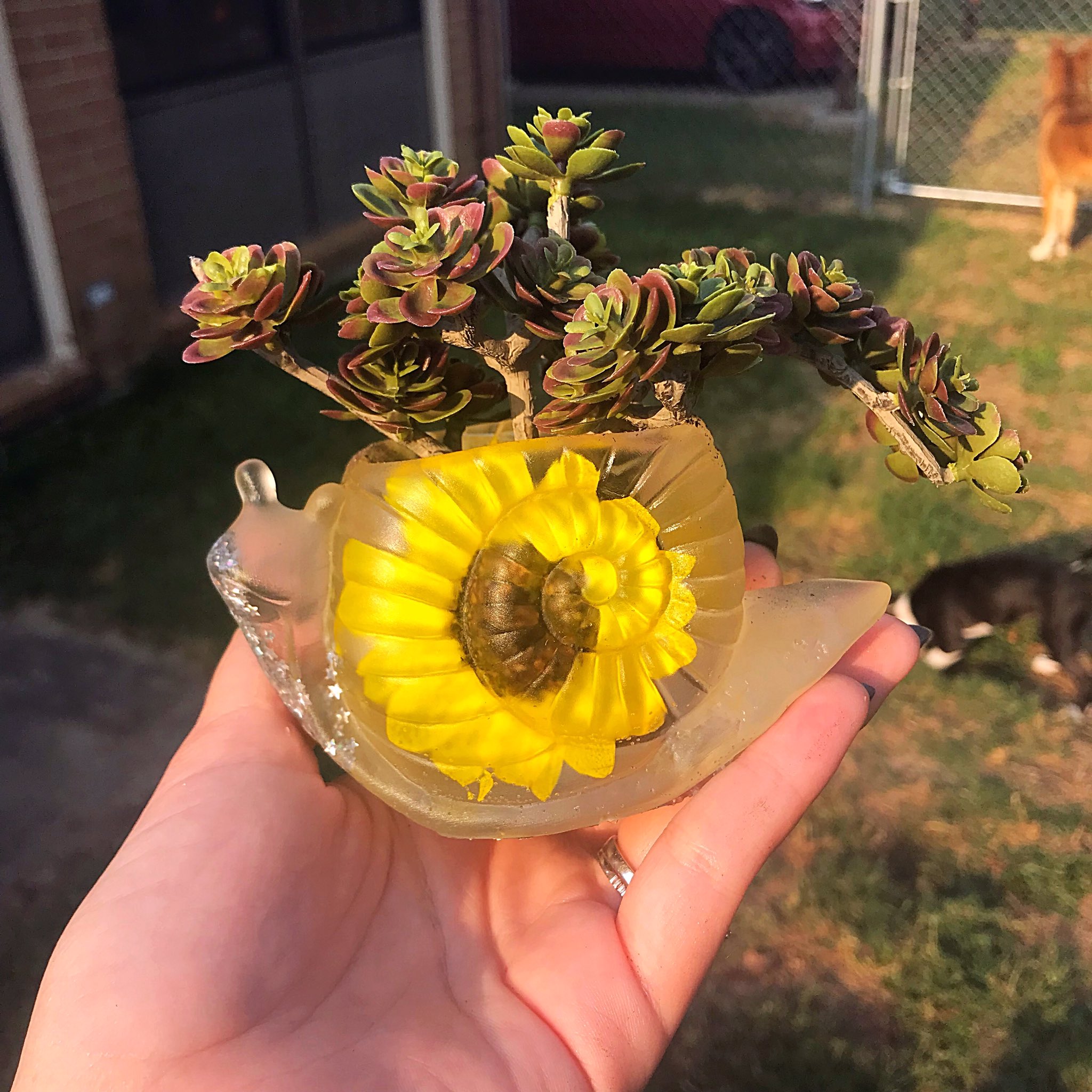 kayla🦕 on Twitter "AUCTION! 🐌 Sunflower snail succulent pot! (Fake