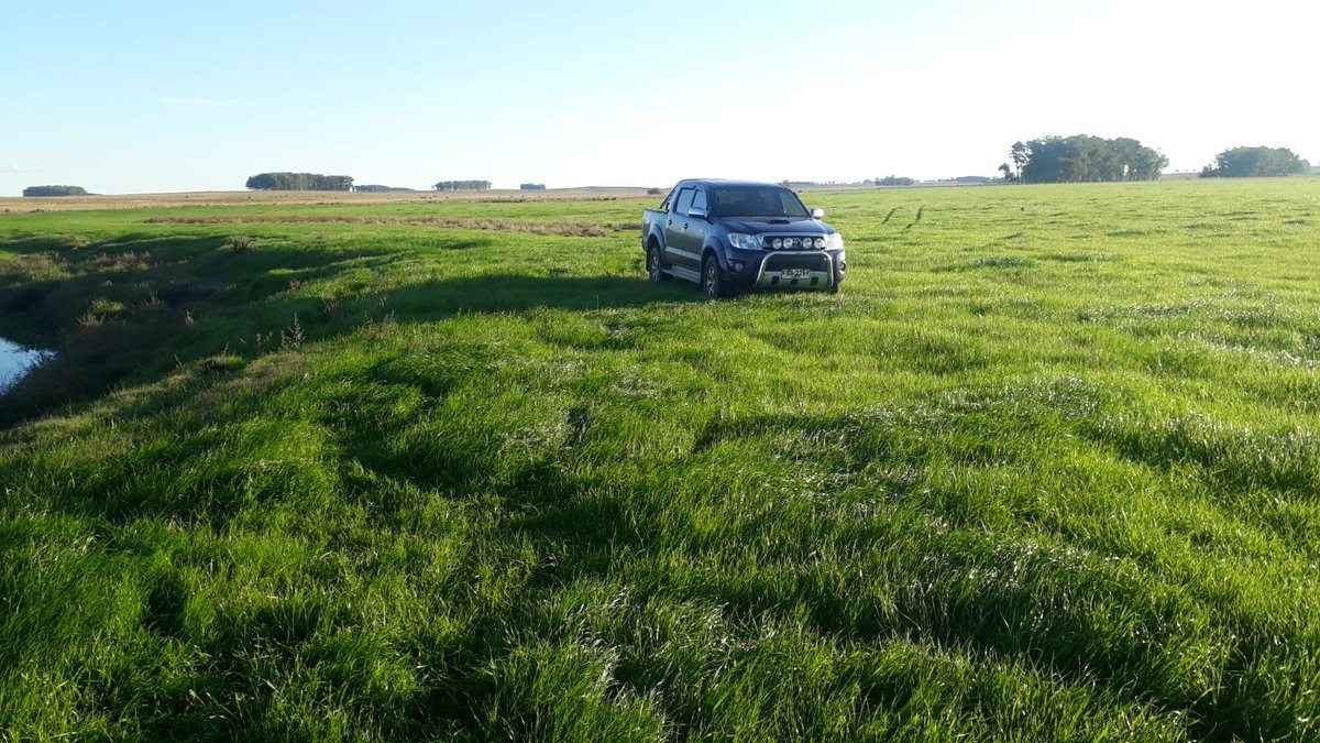 E Hoffman Berasain tweet media