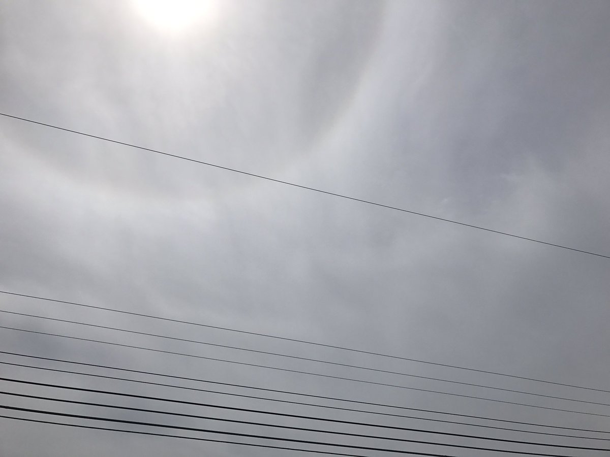 今日も穏やかな時間が
過ごせますように*✲ﾟ*