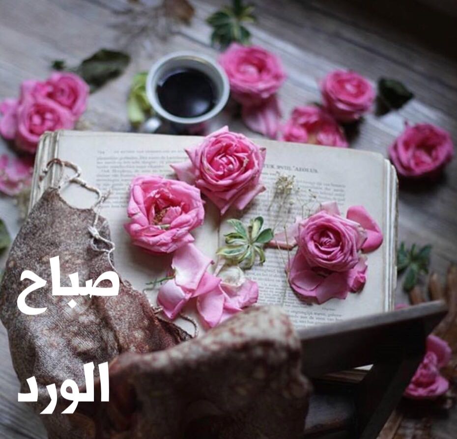 ⚘✿ زهرة التوليب ✿⚘ tweet media