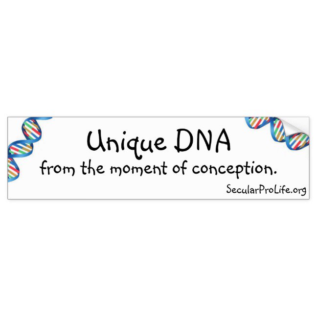 cybermom1999's tweet image. #proscience #prolife