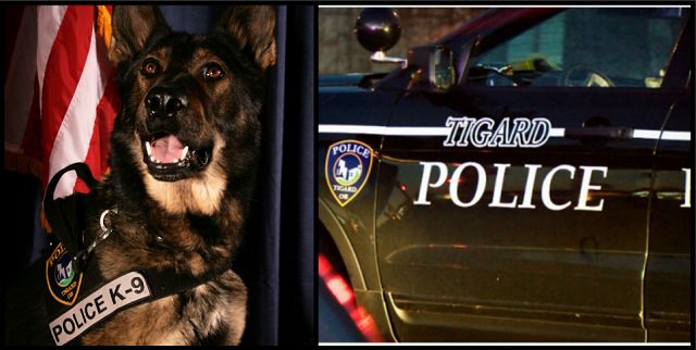 KOINNews's tweet photo. Retired Tigard K-9 Baxter dies at 12, caught more than 100 suspects  https://t.co/DW2DJxhUzt https://t.co/OnCcPsihP4