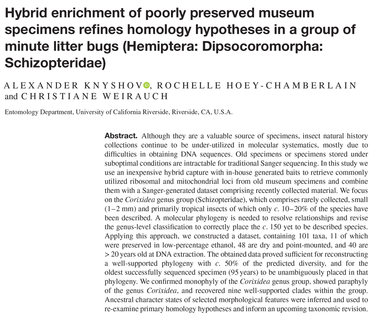 Alex Knyshov tweet media