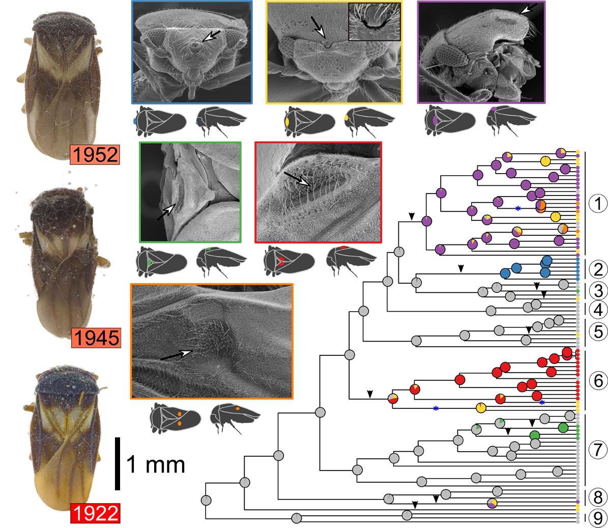 Alex Knyshov tweet media