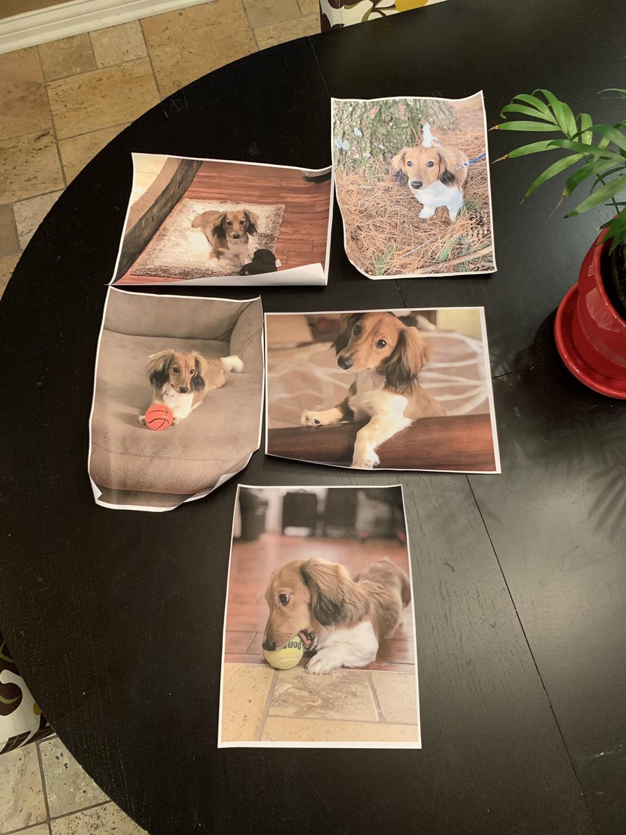 Daddy’s up to something...