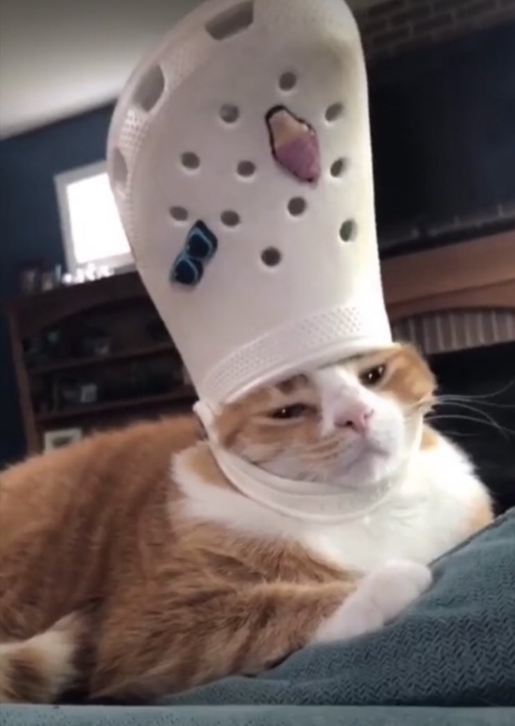 His Holiness The Pope: Pets With Crocs Hats