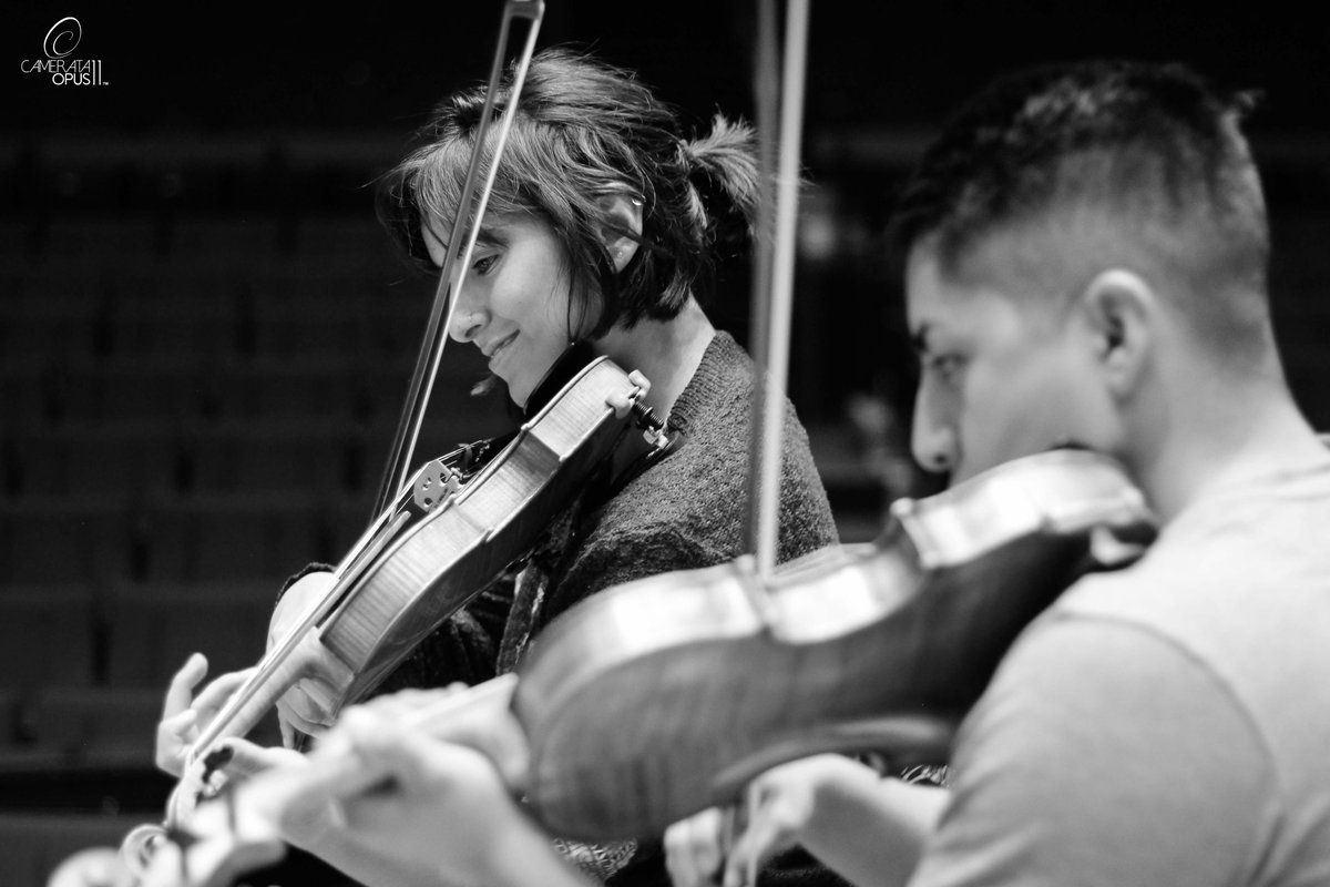 Camerata Opus 11™ tweet media