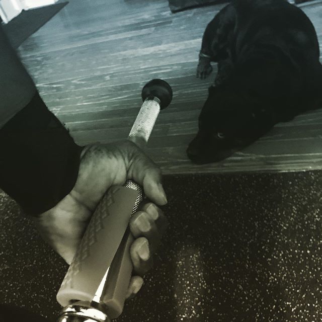 HEROESANDKINGZ's tweet photo. Don’t cheat YOURSELF! You never know who is watching ...#health #fitness #gym #motivation #workout #fit #healthy #bodybuilding #lifestyle #training #fitfam #fitnessmotivation #fitspo #love #instagood #wellness #exercise #gymlife #fitnessmodel #fitnessadd… https://t.co/h5Y9sBuJhH https://t.co/4zhxeCmkpe