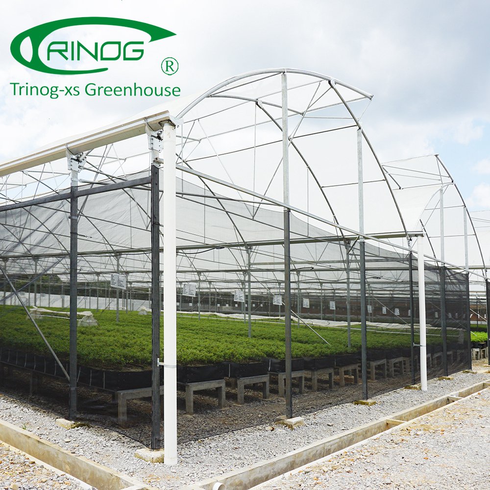 Trinog_xs's tweet image. Nursery greenhouse for tropical area, side wall cover with insect net.  #greenhouse #tropical #insectnet