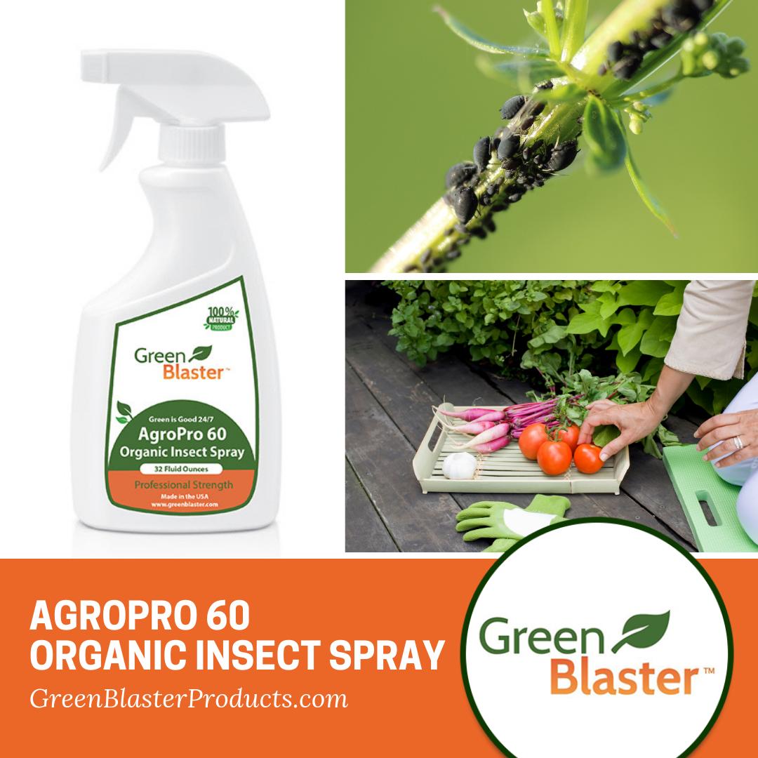 GreenBlaster1's tweet image. AgroPro 60 Organic Insect Spray is the ideal choice for home, small, or large scale agriculture growing and cultivation operations to keep aphids and other pests away from your crops. 🌱
Try AgroPro today! 👉 buff.ly/2GAr1rI #pesticide #insectspray #allnatural #organic