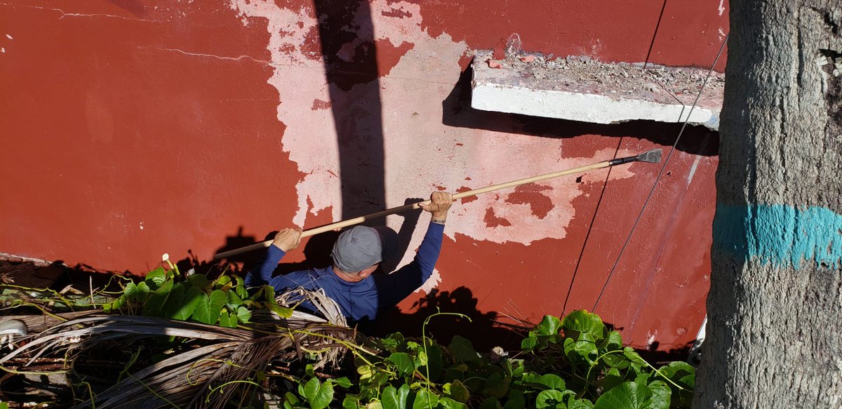 Manejo de Emergencias tweet media