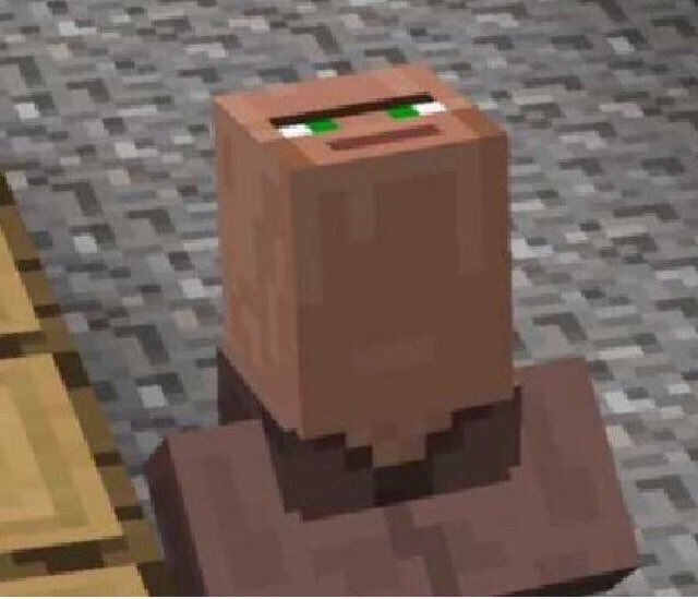 PigPig_Gamer's tweet photo. The villager is looking at the tweet above https://t.co/VTjDfKs2Kw