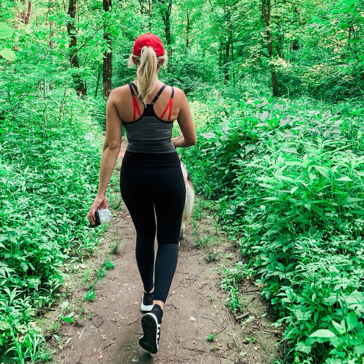 courtneyforce's tweet photo. Always seek adventure✨ ..and nature walks with your pup 🌿🐾#QALO #QALOteam #qalodogs #Nature #Adventurer #ThinkAheadThinkAdvance #ArrowTheMalamute https://t.co/wI1W02qnS1