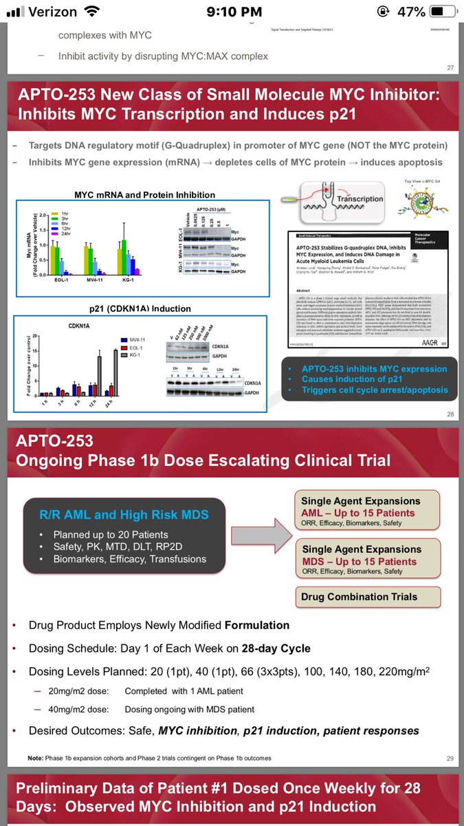 Lin_ling_88's tweet photo. $APTO myc inhibitor: APTO-253
slides 28,29 3️⃣
@kevansf $AMGN #UCSFCancer https://t.co/U7CGb9EHyO