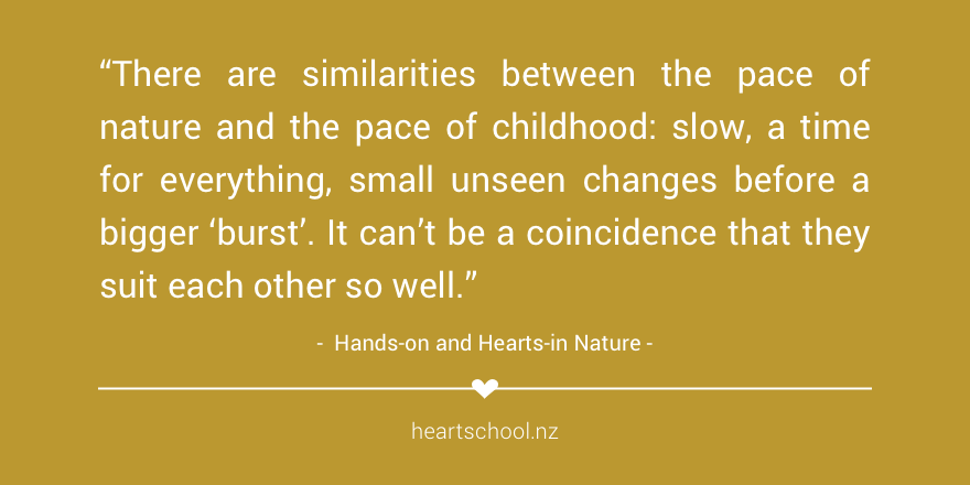 We have a reverence for two things: #childhood, and the treasures of Mother #Nature. Each is amazing, but combined? That is truly magical! Our new toolkit grew from this passion. heartschool.nz/nature-toolkit #Children #CNC2019 #ece #Outdoorplay #outdoor #daycare #preschool