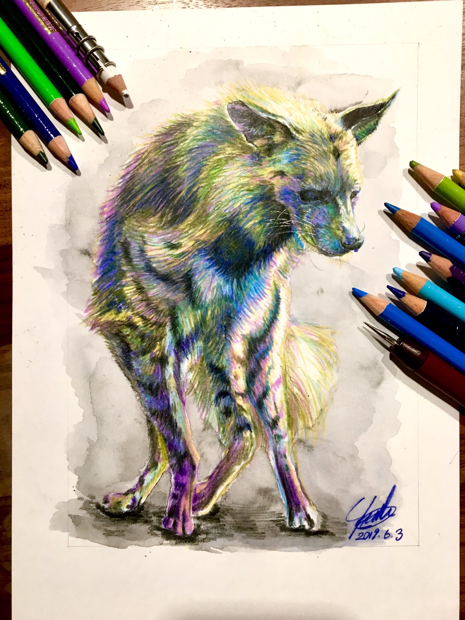 0sukeヨースケ シマハイエナ描きました 使用画材は色鉛筆のみ 背景は水彩色鉛筆です 2枚目に映っている色縛りで描いてみました サイズはa5です 強そうだけどどこか物寂しい感じに 色鉛筆 色鉛筆画 Drawings T Co Wynq1s9pbe Twitter