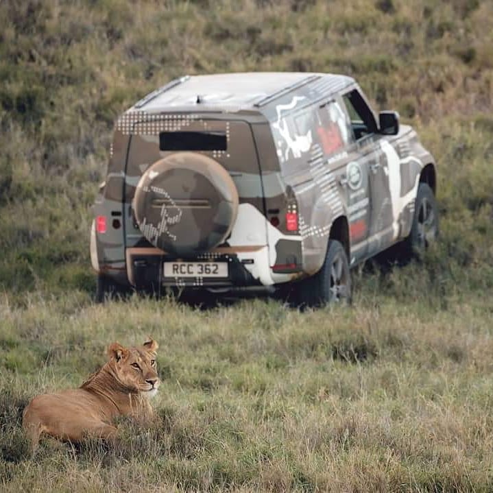 Van Mossel JLR tweet media