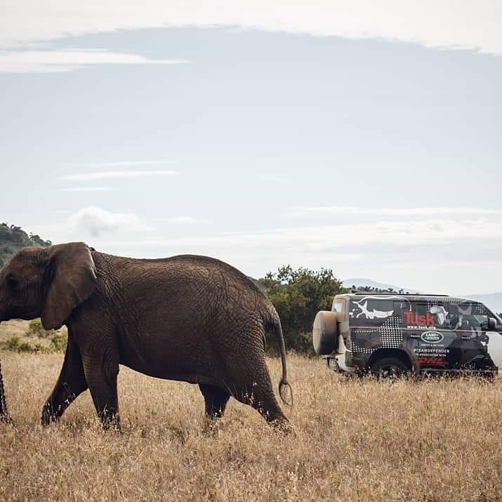 Van Mossel JLR tweet media