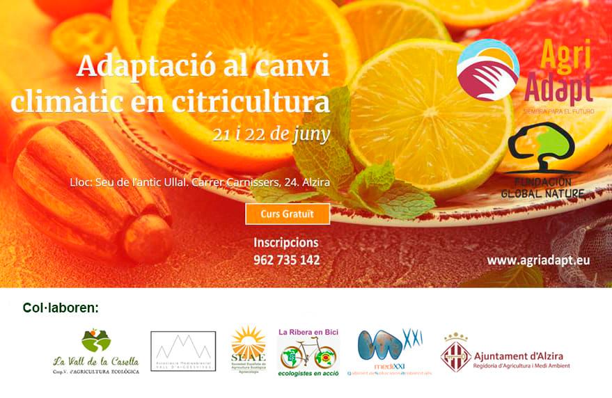 #Curso "Adaptación al cambio climático en la #citricultura" 🍋🍊 #AgriAdapt 
🗓️ 21 y 22 de junio en Alzira (Valencia)
Son sesiones muy prácticas y se incluye una una visita a la finca de #agricultura #ecológica de <a href="/lacasellaeco/">La Vall de la Casella, Coop.V.</a> 
Programa e inscripción🔎 agriadapt.eu/adaptacio-al-c…