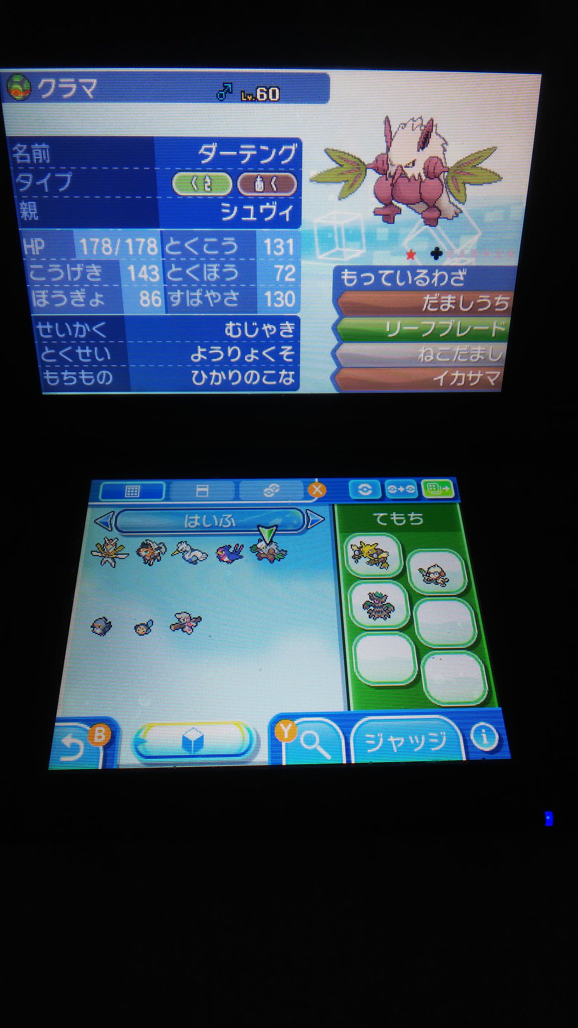 鬼場 那葵 きば なき 配布ポケモン ポケモンの選択は不可です 1等 カミツルギ 気合いの襷 Nnゴエモン 2等 黄昏ルガルガン 先制の爪 Nnランガ 3等 ラブボスワンナ スターのみ Nn変更可 4等 ウルボオオスバメ サンのみ Nn変更可 5等 ダクボ