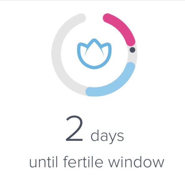 okSuse's tweet image. #helloboys