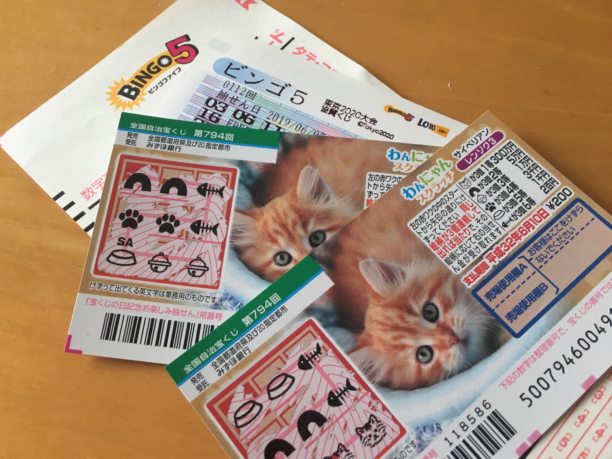 とも 大ちゃんが買い方やり方を教えてくれたからビンゴ5とわんにゃんスクラッチやってみました 流石くじ運ゼロのワタシ スクラッチは ビンゴ5の結果を楽しみに待ちます 宝くじ ビンゴ5 氷艶 高橋大輔 T Co G5s1mmw6lo Twitter
