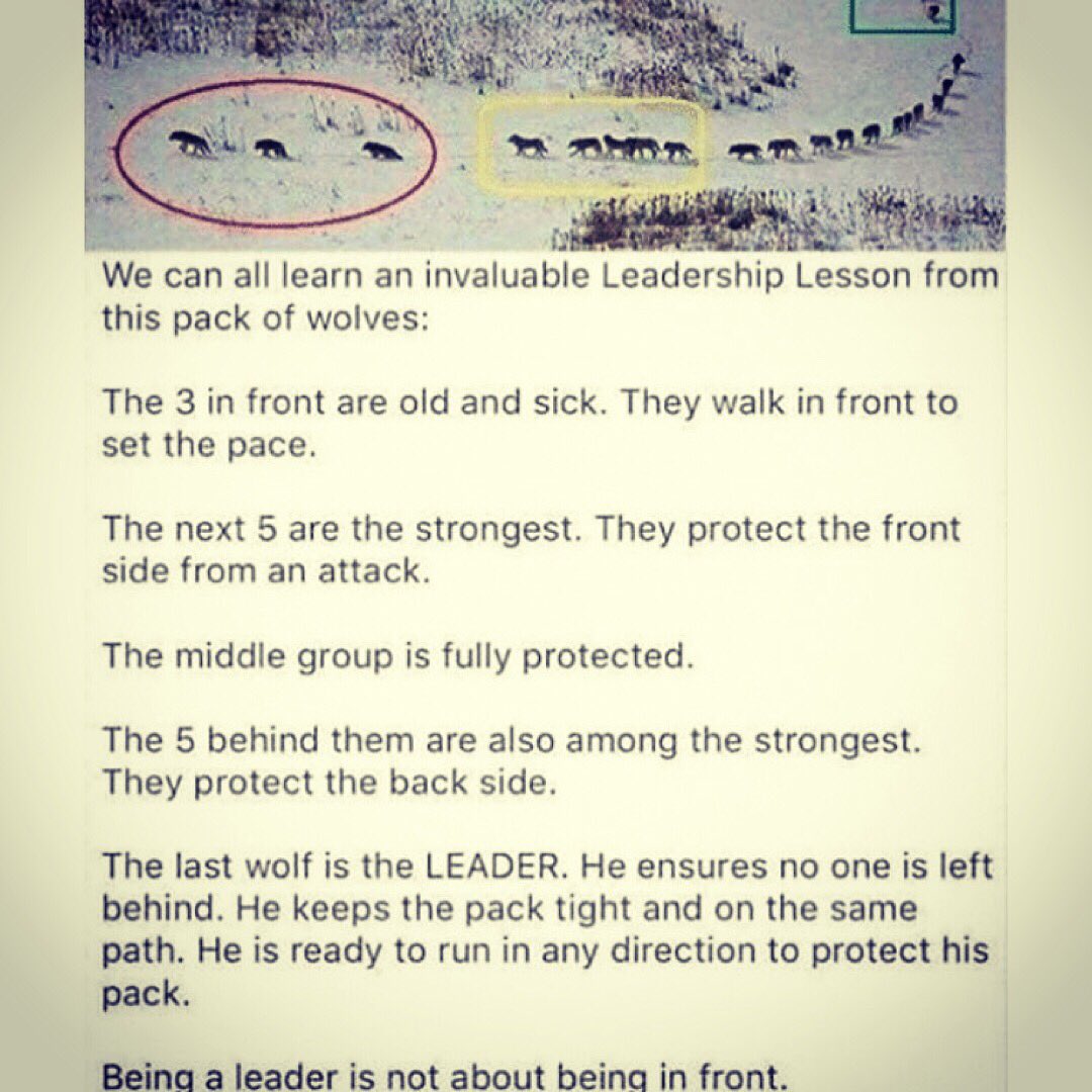 QueenG719's tweet photo. #Truth #ThisjustThis I love it ππ½ππ½ππ½ππ½We are So in Need of Real Leaders Todayπππππ½ππ½ππ½ππ½ββοΈππ½ββοΈππ½ββοΈππ½ββοΈππ½ββοΈππ½ββοΈπππ https://t.co/8UAt6b9A2M