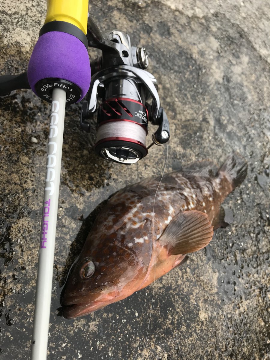 村上 祥悟 しょごたん Twitter પર めちゃくちゃ楽しいアイテムが出来てしまいました 要チェック 海釣り 投げるエッグ エッグキャストタフィー 石川文菜 村上祥悟 ジャッカル T Co Cmeqj9o0up Youtubeより