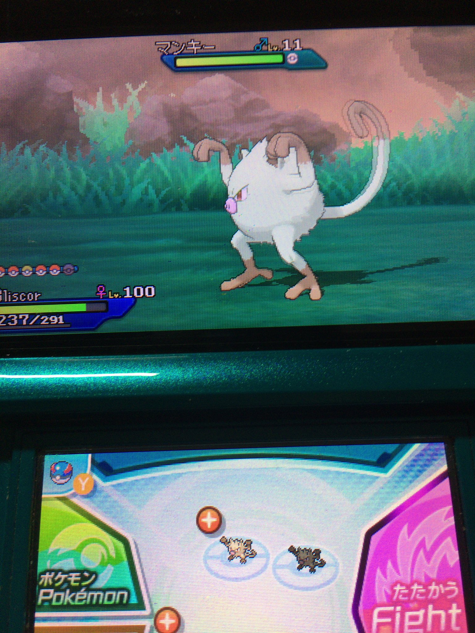ポケモンしゅきしゅき Kp2curzvqt1fz6w Twitter