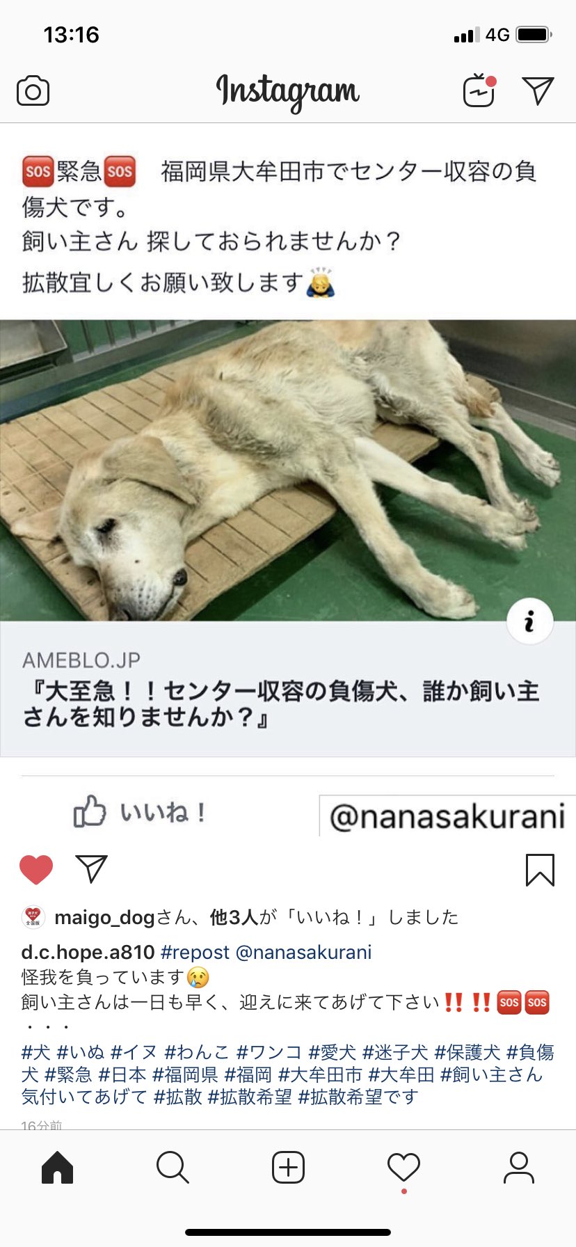 飼い主さん気付いてあげて Twitter Search Twitter