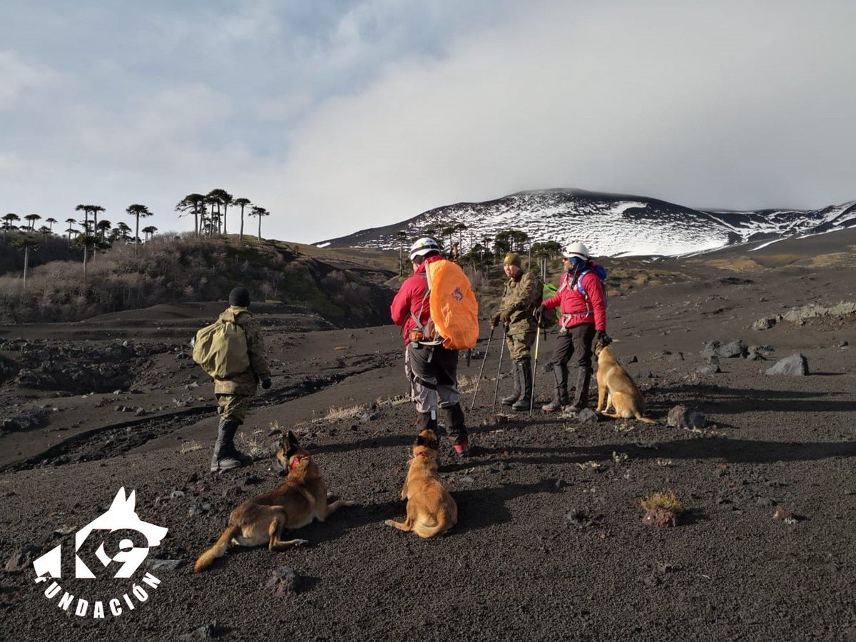 pkrohmer's tweet photo. A #EduardovonBennewitz lo están buscando por aire y tierra, voluntarios, @Ejercito_Chile, @Carabdechile, @onemichile y @conaf_minagri y hasta con un equipo de Perros. Todos firmemente comprometidos hasta que #Encuentrenalprofe Tú Familia y Amigo te esperamos #FuerzaHualo https://t.co/D1v0FEdMfA