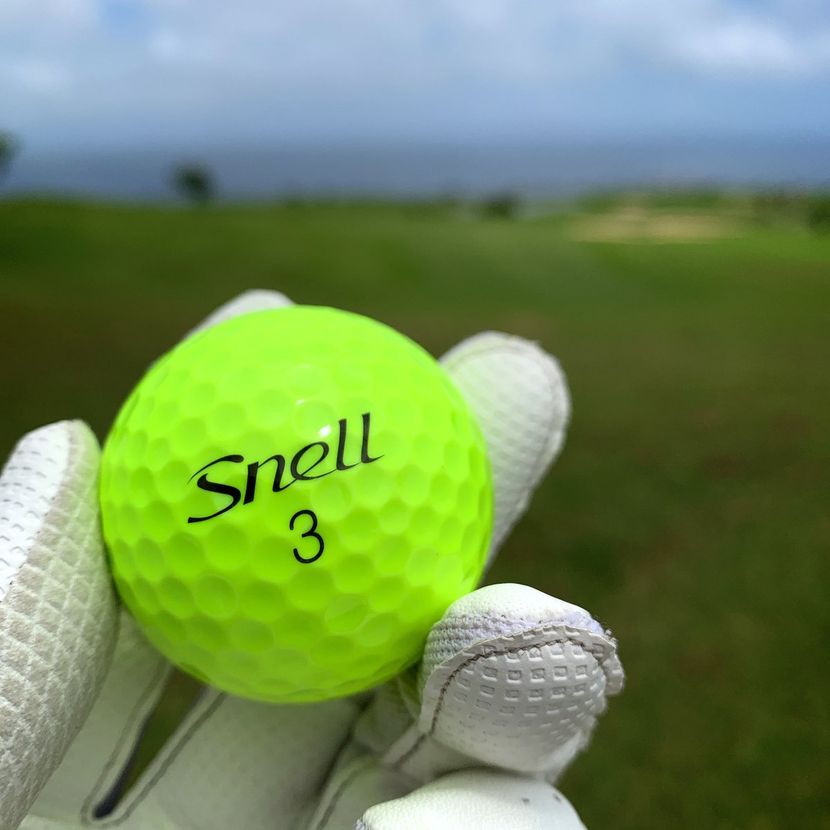 anexile's tweet photo. サザンリンクスGCとSNELL。
#SNELL #サザンリンクス #沖縄 #ゴルフ #GOLF https://t.co/po5ZF0RvCG