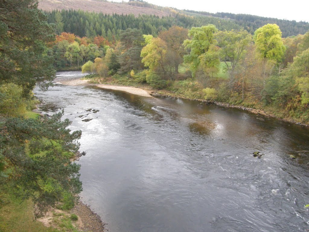 MovementWhisky's tweet photo. 300kL Lost in Spey... Water levels of the river Spey have fallen so low during summer that some Distilleries have lost up to one month of production according to a report in The Guardian this week. #whisky #Whisky News # Speyside… https://t.co/3SXs4KWvpe https://t.co/bYfCcDVPQo