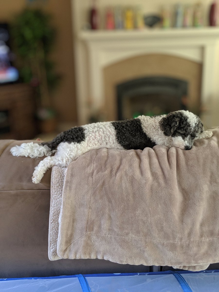 Thomas 🇺🇲 tweet media