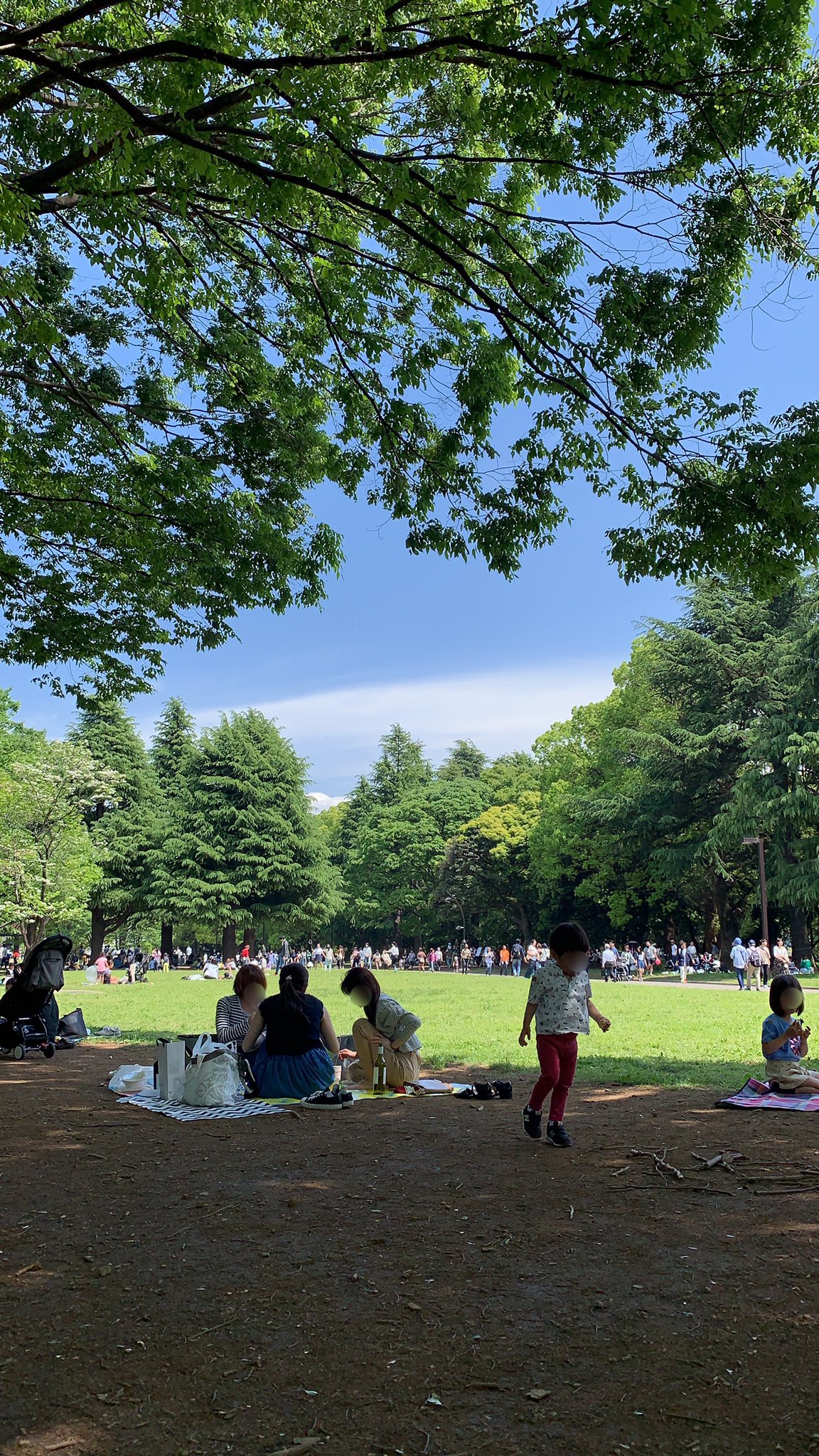 Forky フォーキー 都内のピクニックデートに使える場所10選 代々木公園 新宿御苑 芝公園 清澄庭園 中目黒公園 葛西臨海公園 井の頭恩賜公園 昭和記念公園 上野恩賜公園 小金井公園 6月のちょうど暖かい天気の休日に ピクニック