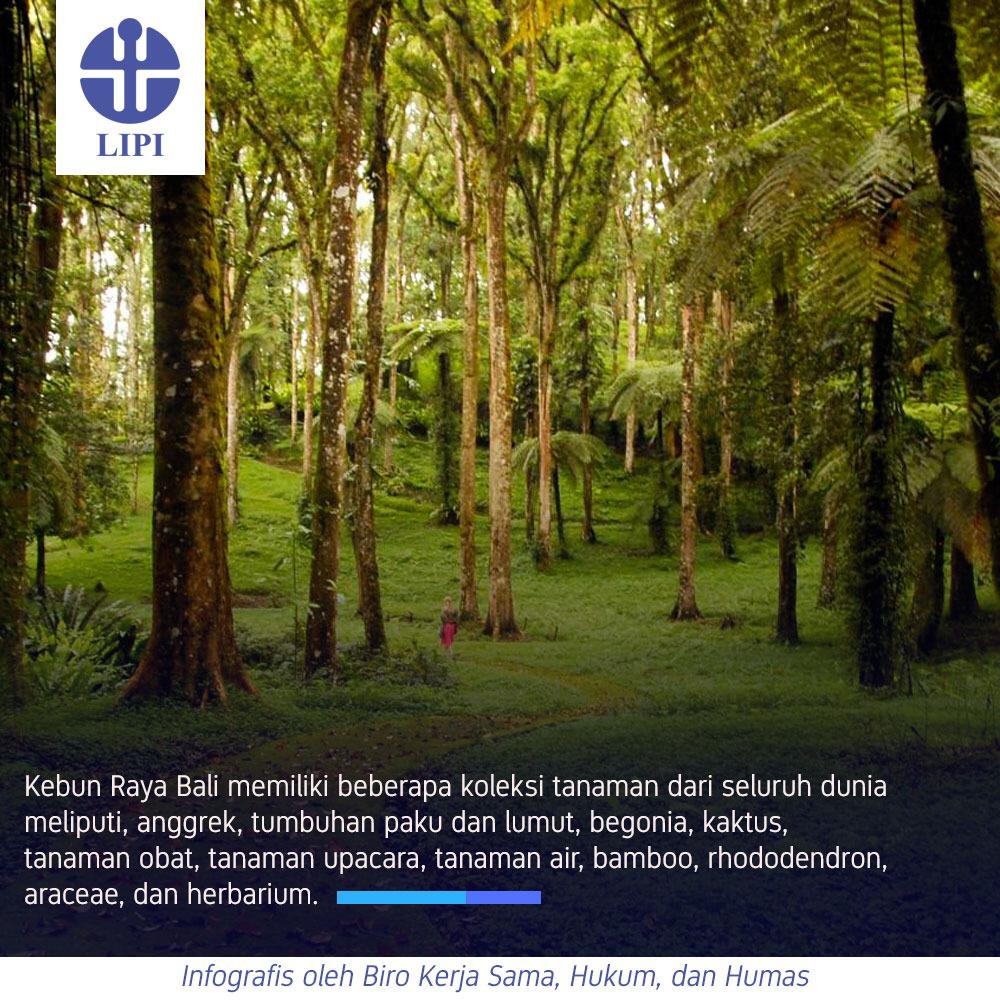 science_BRIN's tweet photo. Konservasi tumbuhan dataran tinggi kering dlm kemolekan lansekap dan sentuhan budaya khas Bali. Salah satu pilihan utk libur #lebaran di Bali dlm suasana pecinta gunung, pemuja senja, pecandu kopi, penenun puisi, pemuja Indomi telor kornet dsb...dsb. https://t.co/qlJ6cDJNCX