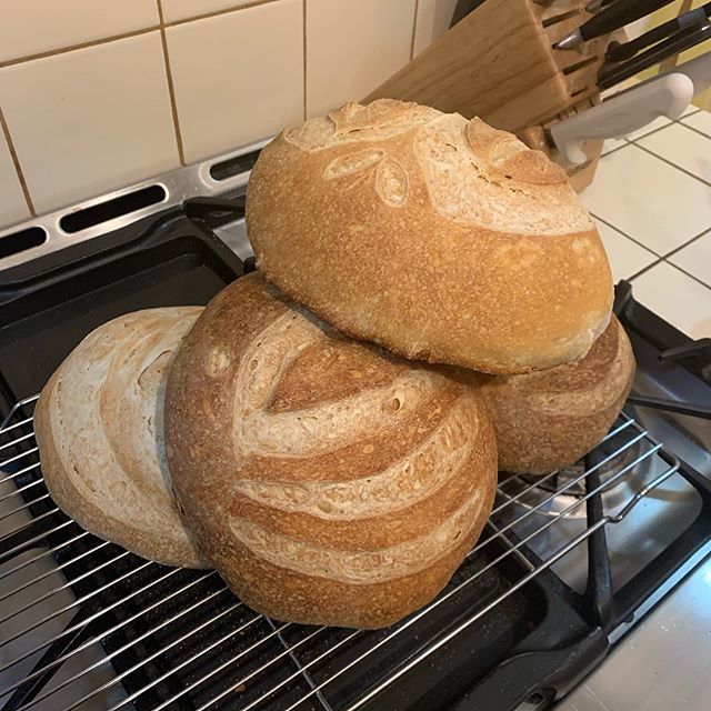 AdMasterCaplan's tweet photo. Bread ๐ฅ #wholewheat #crumb #sourdough. #starters #flour. #fromscratch #wholewheat #sourdoughbread #breadmaking #breadfromscratch #wholewheatbread #sourdough @thejoyofcooking @paulhollywoodbakes #homecooking #bread #wholewheatbread
#ryebread #proof #ryebread #breadfromscโฆ https://t.co/HGgFxVFgDh