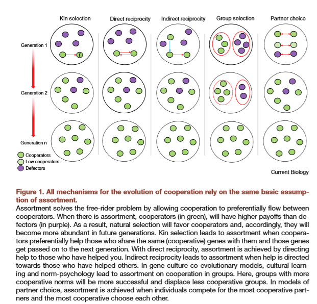 mechanisms of inorganic