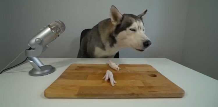 NoContextASMR's tweet image. 