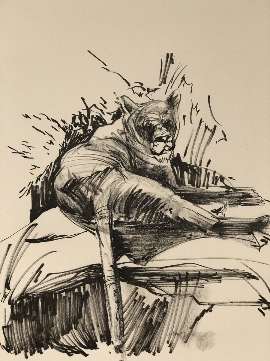More ref taken from the zoo! The bear looked... so sad... very existential #drawing #sketchbook #illustration