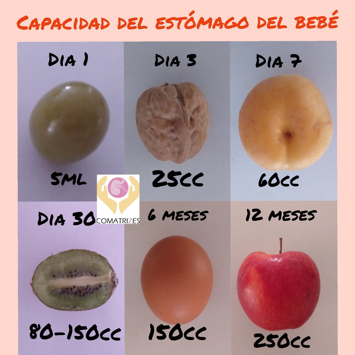 Tamaño Estomago Bebe 2 Meses De Que Tamaño Es El Estomago De Un Bebe De 6 Meses - Consejos de Bebé