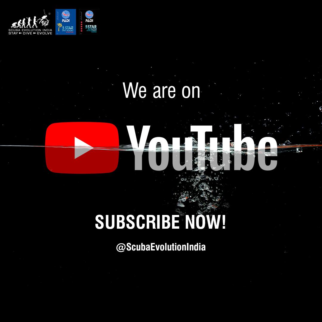 scubaevolution's tweet photo. Now, you can explore the underwater realm on YouTube. Scuba Evolution India is now on YouTube. Subscribe to our channel, watch, like and share our videos. Click here to subscribe https://t.co/KwoMXRDF2T
#Youtube #ScubaEvolutionIndia #Subscribe https://t.co/CmPbyRHSk8