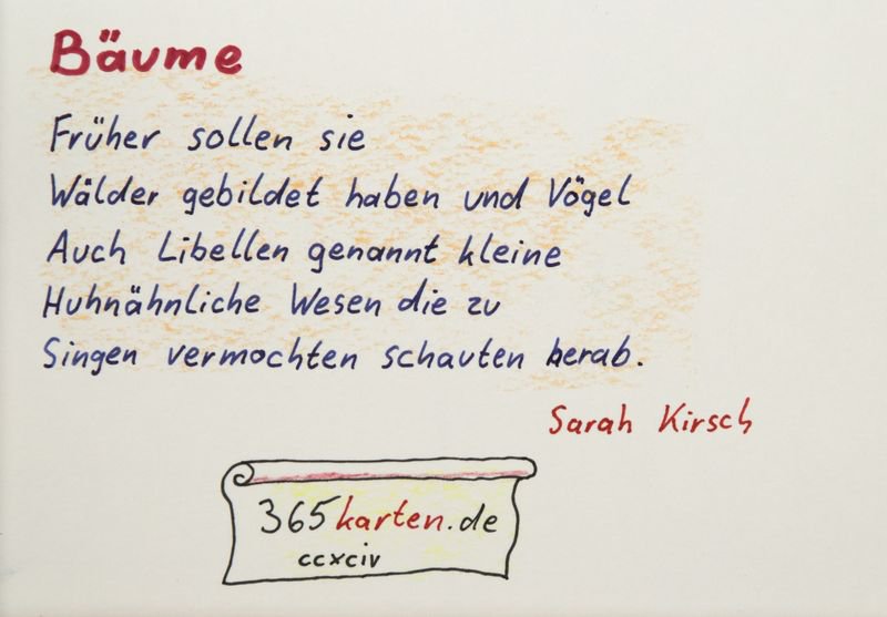 365karten's tweet photo. Früher sollen sie Wälder gebildet haben und #Vögel, #Libellen ... schauten herab.
#SarahKirsch
#Gedichte
#Poesie
#365Karten https://t.co/2NUVtY44I1