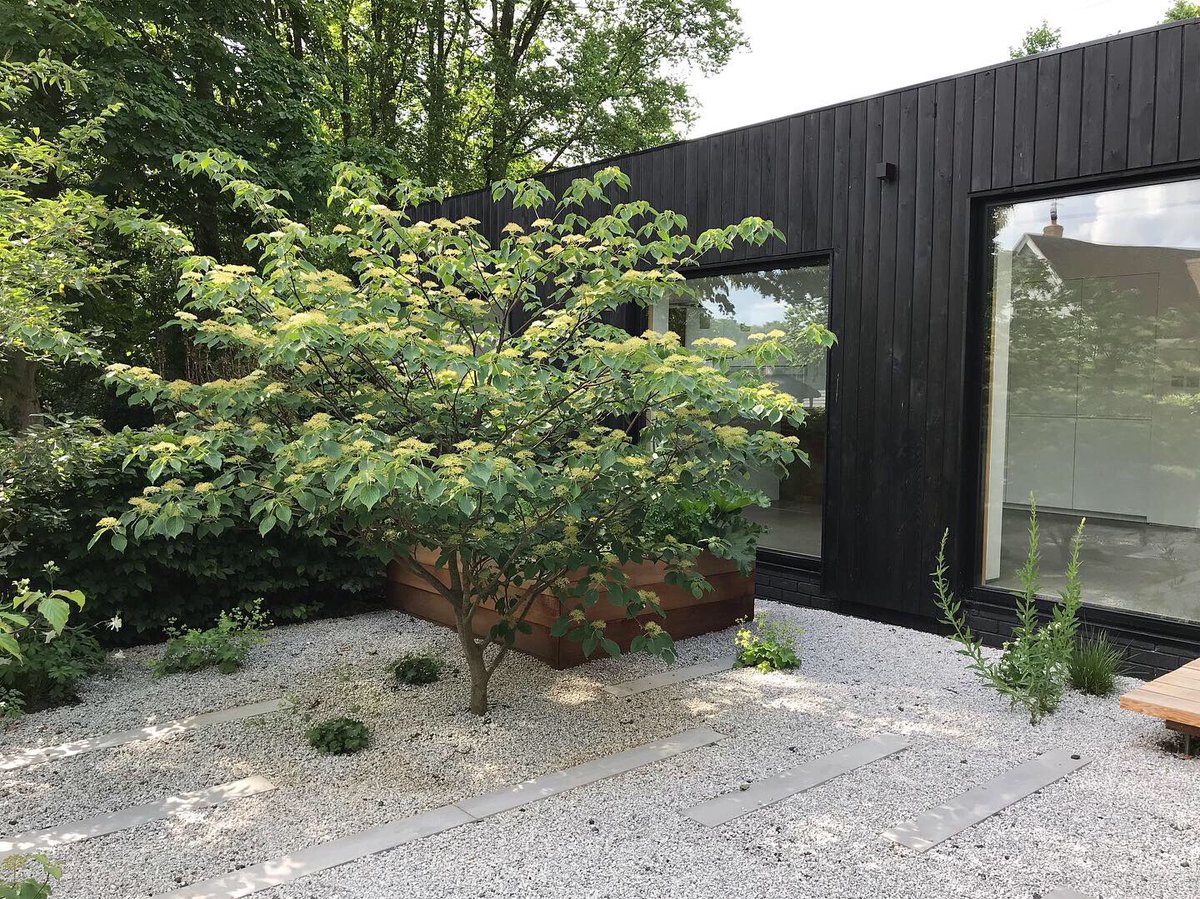 Thrift Landscapes tweet media