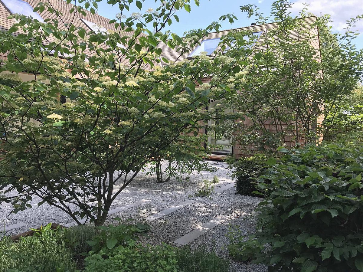 Thrift Landscapes tweet media