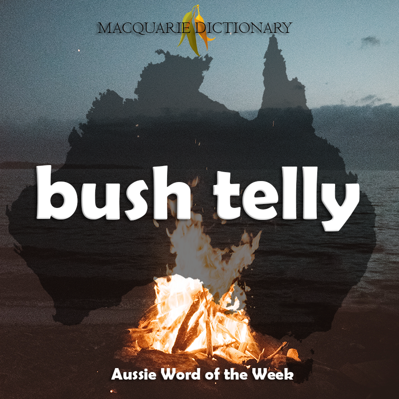 MacqDictionary's tweet photo. A bush telly is a campfire, or the stars in other words, what you watch for entertainment at night in the bush. #WordoftheWeek #bushtelly Do you use this Aussie slang? https://t.co/FpjXswWhsu https://t.co/uUm65e1S51