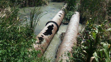 ZimbabweVoice's tweet photo. We’re drinking dirty water and we’ll all die: Minister https://t.co/uPIARqIAQu https://t.co/HOcfNYHK61
