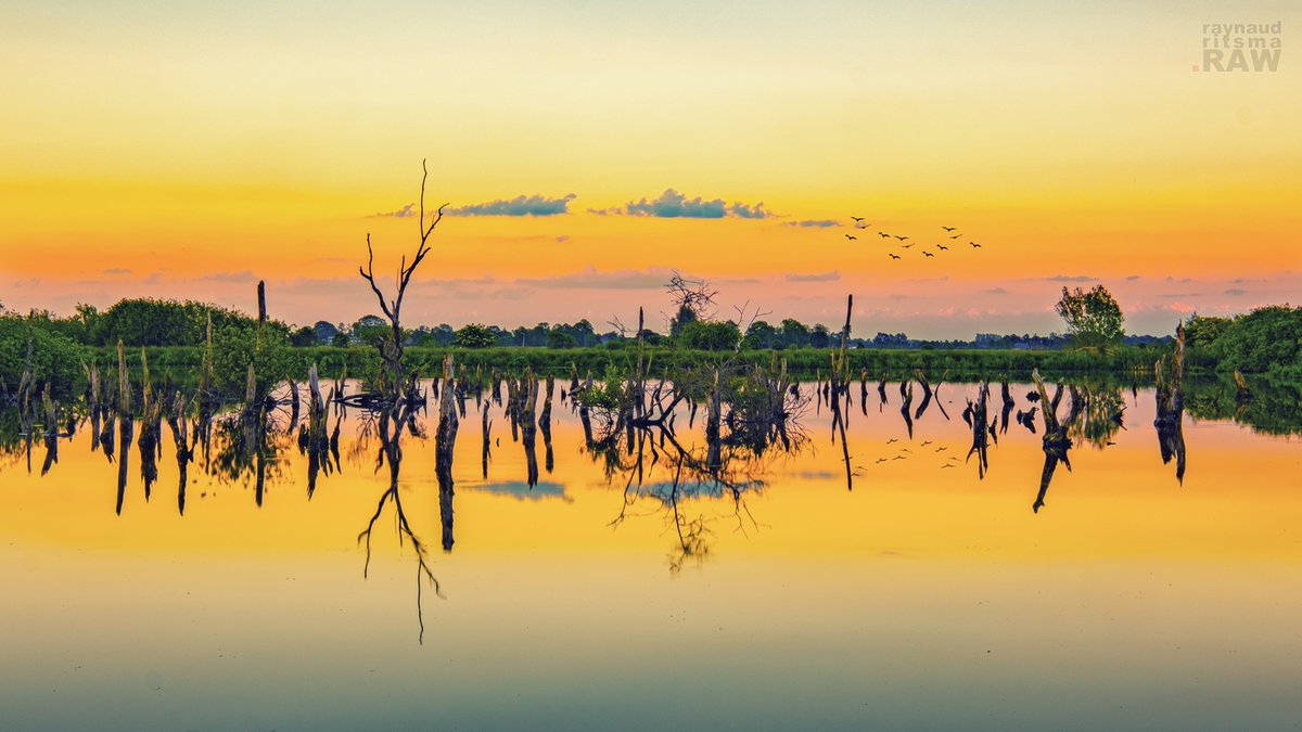 Spiegelglad was het water tijdens het gouden uurtje. Wat wel pittig wask werd helemaal kapot gebeten door kleine vliegjes. Alleen al daarom moet ik deze foto posten ;) #goedemorgen #spiegel #eendagsvlieg
