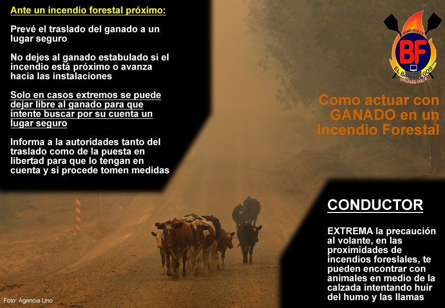 El_Batefuegos's tweet photo. [8h] Sigue cortada la #AV561 entre los kilómetros 2 y 11 para facilitar los trabajos de extinción del #IFHoyoDePinares. Respeta la señalización y las indicaciones del personal de extinción y seguridad del operativo. 
#DGTávila https://t.co/g6UhKbuUd4